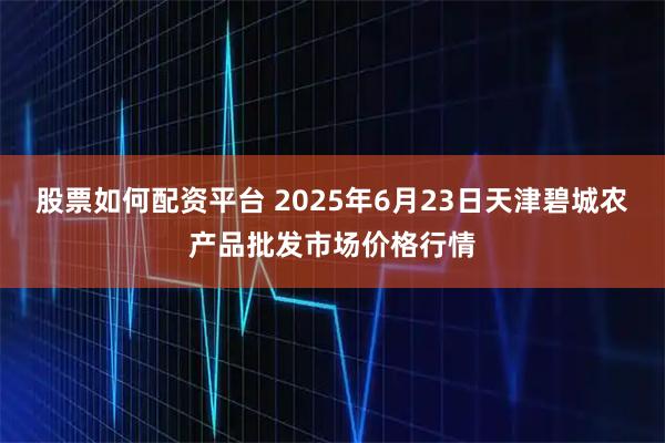 股票如何配资平台 2025年6月23日天津碧城农产品批发市场价格行情