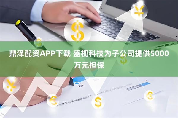 鼎泽配资APP下载 盛视科技为子公司提供5000万元担保