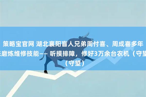 策略宝官网 湖北襄阳盲人兄弟周付喜、周成喜多年来磨炼维修技能—— 听摸排障，修好3万余台农机（守望）