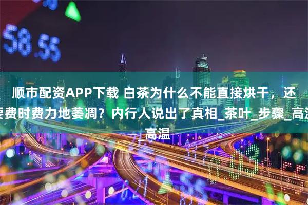 顺市配资APP下载 白茶为什么不能直接烘干,还要费时费力地萎凋?内行人说出了真相_茶叶_步骤_高温
