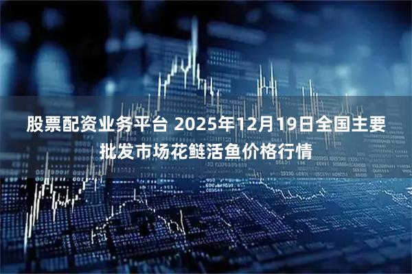股票配资业务平台 2025年12月19日全国主要批发市场花鲢活鱼价格行情
