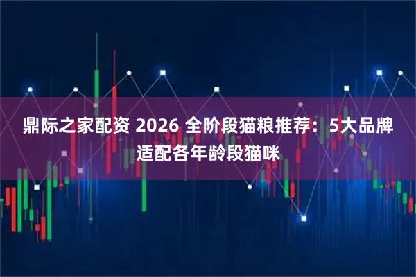 鼎际之家配资 2026 全阶段猫粮推荐：5大品牌适配各年龄段猫咪